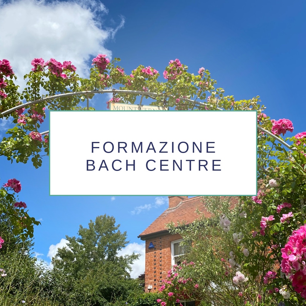 Formazione Fiori di Bach certificata Bach Centre UK – Spazio Ametista