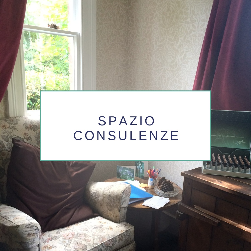 Spazio consulenze Fiori di Bach – Saletta di Mount Vernon, Bach Centre UK